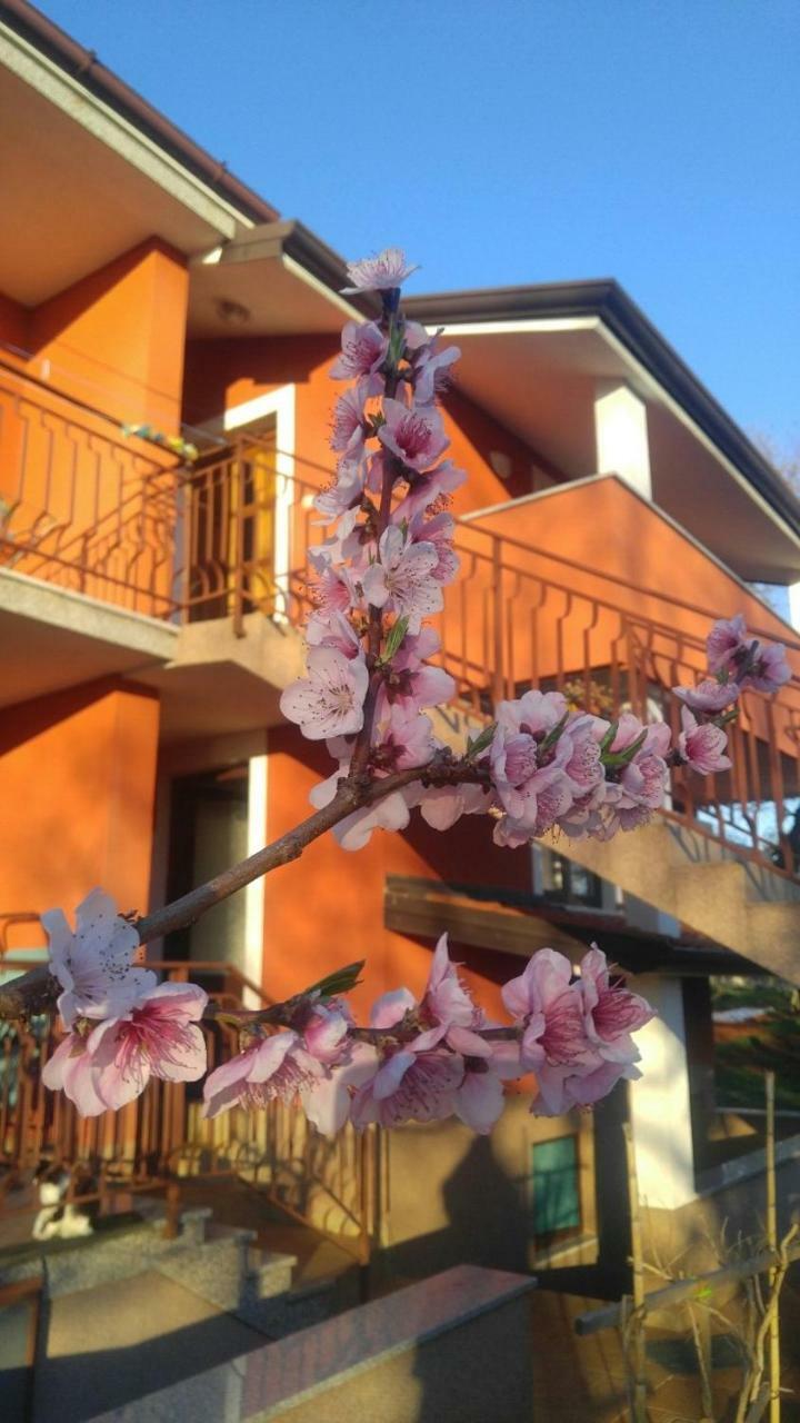 Apartment Zita With 1 Bedroom In Relaxing Surroundings Near Umag 우마그 외부 사진